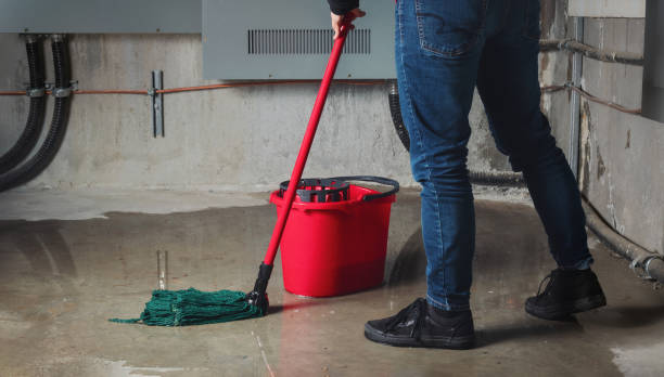 Carpet water damage restoration in Lowell, OR